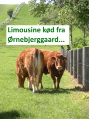 Limousine2.jpg